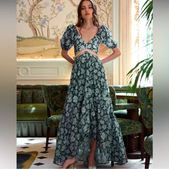 NWT V Chapman dress - Picture 1 of 7